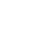 Dandy