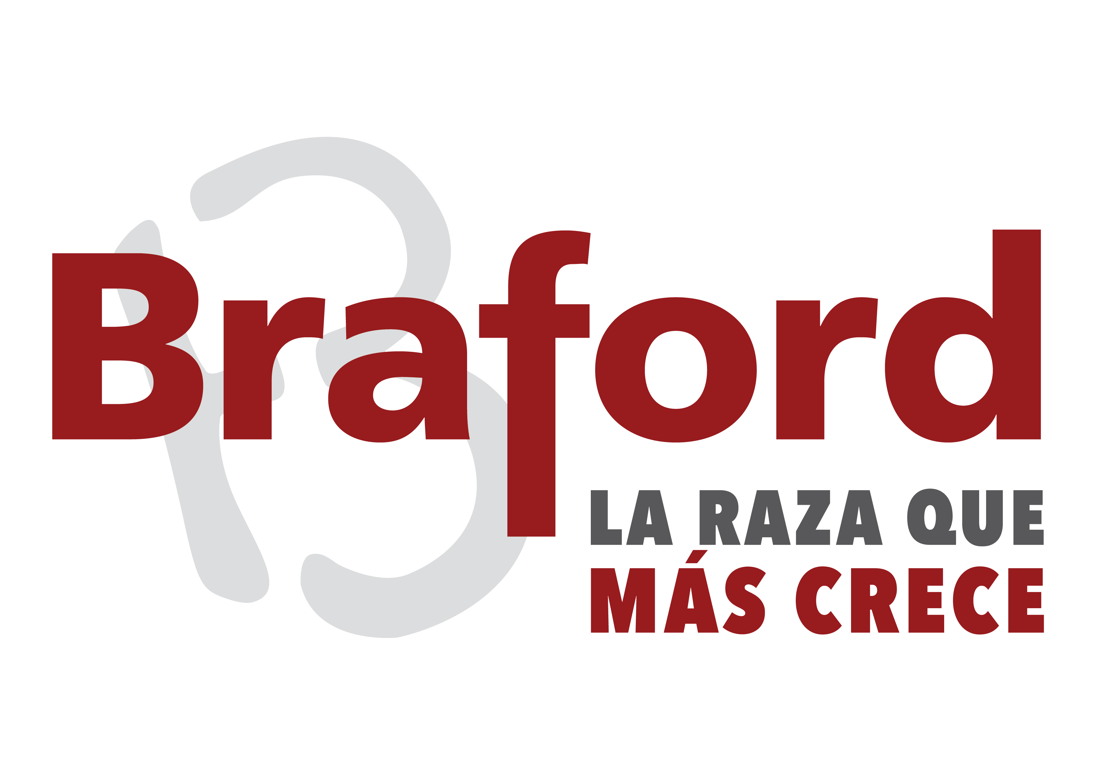 Braford